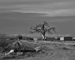 New Mexico Farm NM Farm