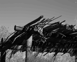 The only shade in the desert, make it yourself Desert Shade
