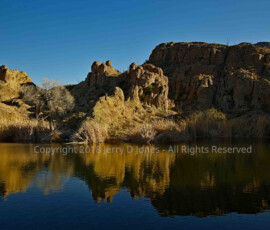Copyright 2018 Jerry D Jones - All Rights Reserved Ayers Lake Boyce Thompson Arboretum, Arizona