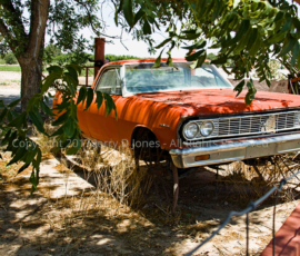 Chevelle New Mexico Old Chevelle in New Mexico