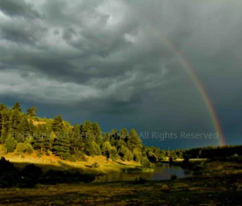 Rainbow Show Low, Arizona Rainbow Show Low, Arizona