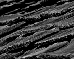 Weathered Wood Shingles - Lowell, Arizona Weathered Wood Shingles - Lowell, Arizona