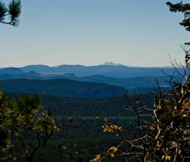 Mogollon Rim - Arizona Mogollon Rim - Arizona
